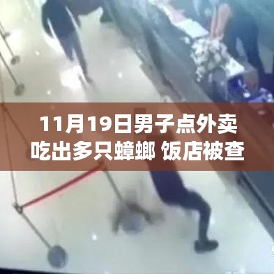 男子外賣驚現(xiàn)多只蟑螂引發(fā)食品安全警鐘事件，飯店遭查背后真相揭秘