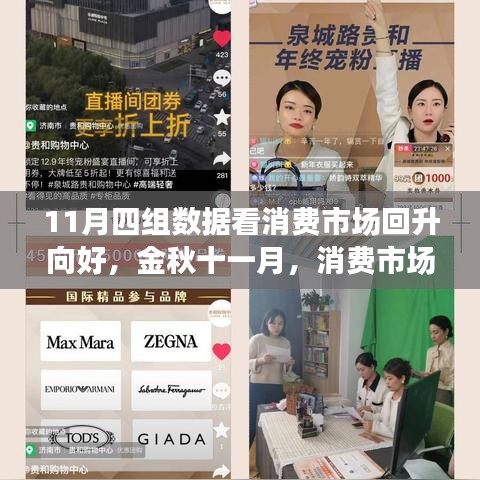 金秋十一月消費(fèi)市場回暖趨勢解析，四大數(shù)據(jù)揭示市場回升向好態(tài)勢