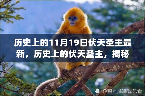 揭秘歷史上的伏天圣主，神秘事件與重大時刻的交織最新資訊（最新篇）