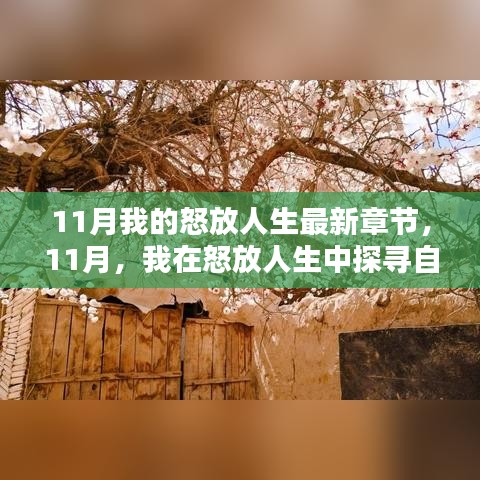 11月探尋自然秘境，怒放人生中的內(nèi)心寧靜與平和