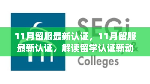 解讀最新留服認證動態(tài)，助力留學生職業(yè)發(fā)展，十一月留學認證更新概覽