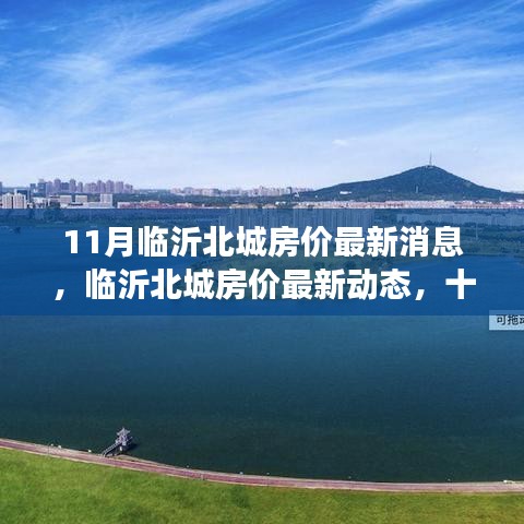 臨沂北城房價最新動態(tài)與深度觀察，十一月房價消息一覽