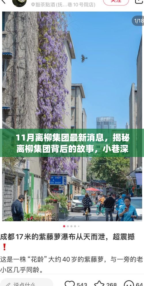 離柳集團最新揭秘，小巷深處的獨特風味小店十一月探訪之旅