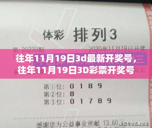 往年11月19日3D彩票開獎號碼詳解，評測、特性、用戶體驗、競品對比及用戶分析