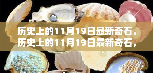 歷史上的11月19日，最新奇石的獨(dú)特魅力與深度解析