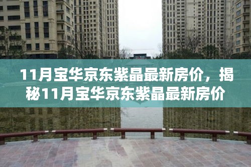 揭秘，11月寶華京東紫晶最新房價(jià)與投資先機(jī)全解析！