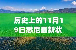 歷史上的11月19日，悉尼最新狀況與秘境探索，自然美景中的心靈之旅