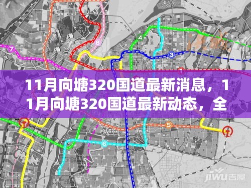 11月向塘320國道最新動(dòng)態(tài)及全方位了解與行動(dòng)指南