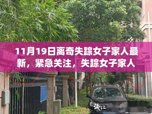 失蹤女子最新動(dòng)態(tài)揭秘，家人緊急關(guān)注，11月離奇失蹤案件真相探尋
