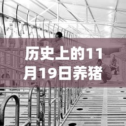 歷史上的11月19日，養(yǎng)豬場用地新政策解讀與操作指南，最新政策解讀及操作指南