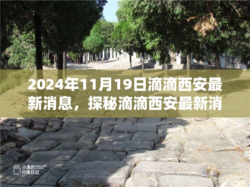 滴滴西安最新動(dòng)態(tài)揭秘，小巷深處的隱藏瑰寶（2024年11月19日更新）