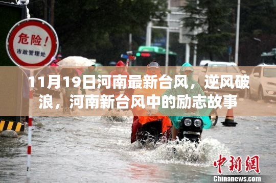 河南新臺風中的逆風破浪勵志故事，11月19日最新動態(tài)