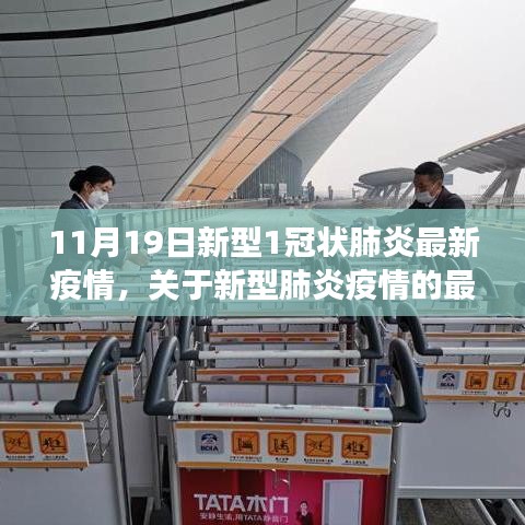 11月19日新型肺炎疫情最新動(dòng)態(tài)觀察報(bào)告