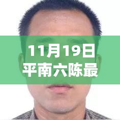 平南六陳最新動態(tài)報道，聚焦要聞，揭秘11月19日最新消息
