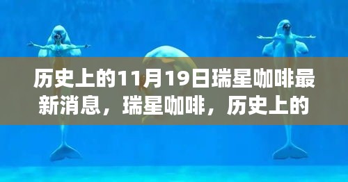 瑞星咖啡歷史上的11月19日，回望與最新消息的影響
