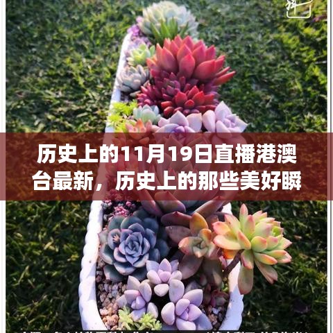 歷史上的美好瞬間，探尋自然美景與心靈的寧靜港灣（直播港澳臺最新）