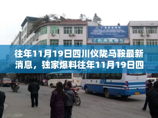 獨(dú)家揭秘，往年11月19日四川儀隴馬鞍最新消息全解析