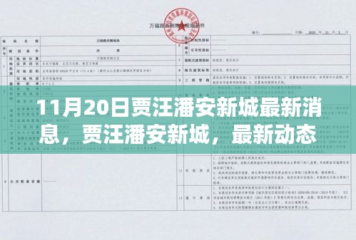 賈汪潘安新城最新動(dòng)態(tài)揭秘，深度報(bào)道，最新消息速遞（11月20日）