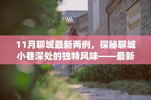 探秘聊城小巷深處，最新發(fā)現(xiàn)的兩家隱藏小店——11月聊城最新兩例獨(dú)特風(fēng)味小店
