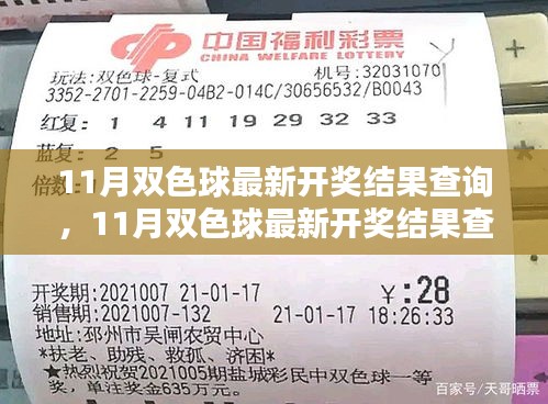 揭秘中獎秘訣，最新雙色球開獎結(jié)果查詢與快速獲取開獎信息指南（11月版）
