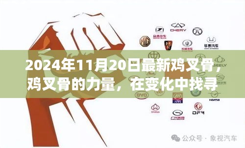 勵(lì)志之旅，雞叉骨的力量與自信成就感的探尋之路（2024年11月20日最新）