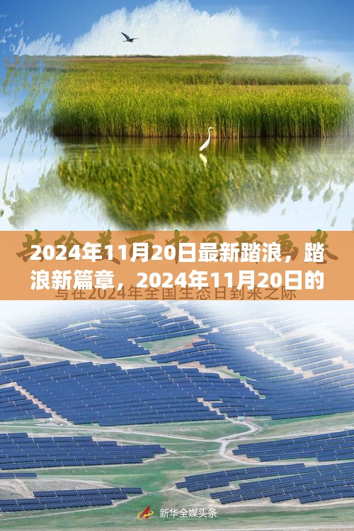 2024年11月20日踏浪新篇章，心靈與自然之旅