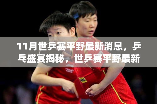 世乒賽賽場(chǎng)風(fēng)云揭秘，平野最新消息與乒乓盛宴的展望