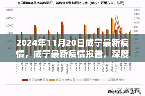 2024年11月20日咸寧疫情報告，深度解析與競品對比，疫情態(tài)勢及應(yīng)對策略