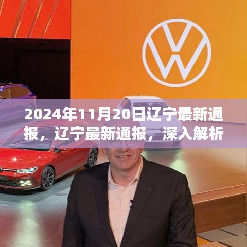 遼寧通報解析，XXXX產(chǎn)品特性與體驗深度探討，競品對比與目標用戶群體深度分析（2024年11月20日）