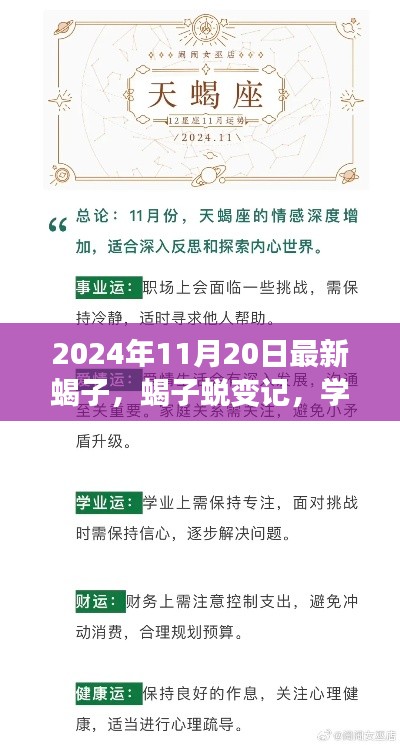 蝎子蛻變之旅，學(xué)習(xí)變化中的自信與成就感探尋（2024年11月20日最新）