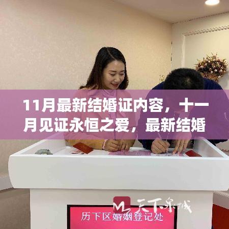 十一月見證永恒之愛，最新結婚證內(nèi)容深度解析