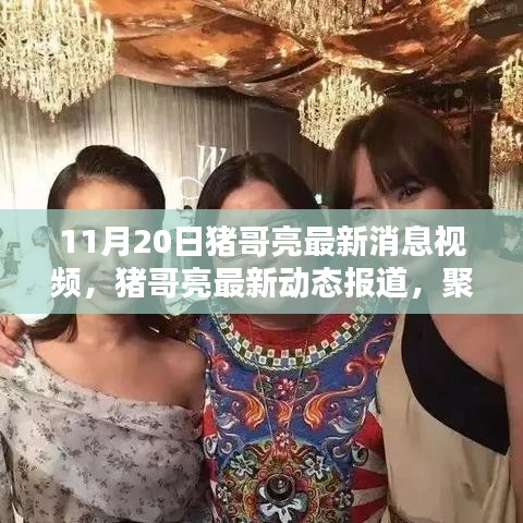 豬哥亮最新動態(tài)報道，聚焦其最新消息視頻（11月20日更新）