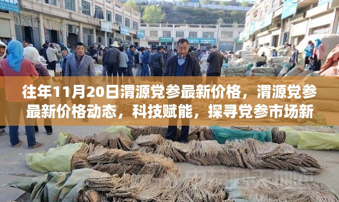 科技賦能下的渭源黨參市場(chǎng)新風(fēng)向，最新價(jià)格動(dòng)態(tài)及市場(chǎng)趨勢(shì)分析（往年1月最新數(shù)據(jù)）