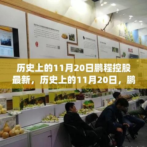 歷史上的11月20日鵬程控股最新進(jìn)展與深度評測揭秘