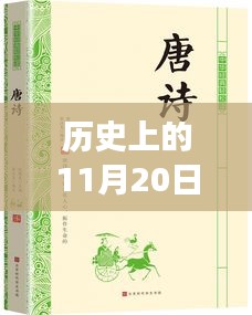 麻衣神算子最新章節(jié)閱讀指南，歷史11月20日更新，初學(xué)者與進(jìn)階用戶必讀