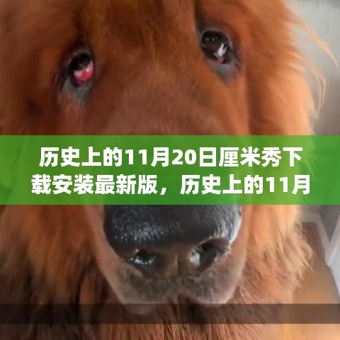 歷史上的11月20日，厘米秀最新版的探索之旅