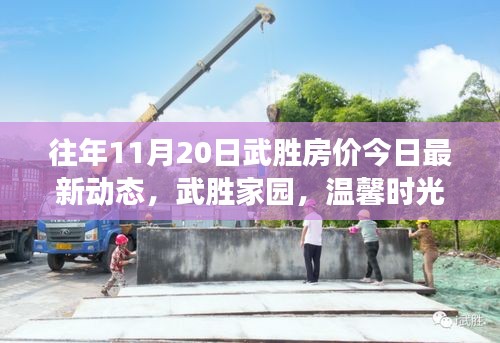 往年11月20日武勝房價今日最新動態(tài)，武勝家園，溫馨時光與房價的微妙交響曲