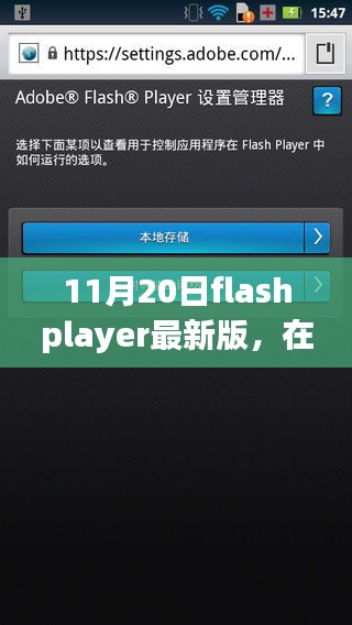 11月20日flashplayer最新版，在最新Flash Player中的溫馨日常，一次奇妙的友情之旅