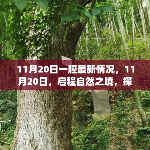 事必躬親 第6頁