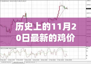 歷史上的雞價走勢，揭秘11月20日的雞價走勢分析