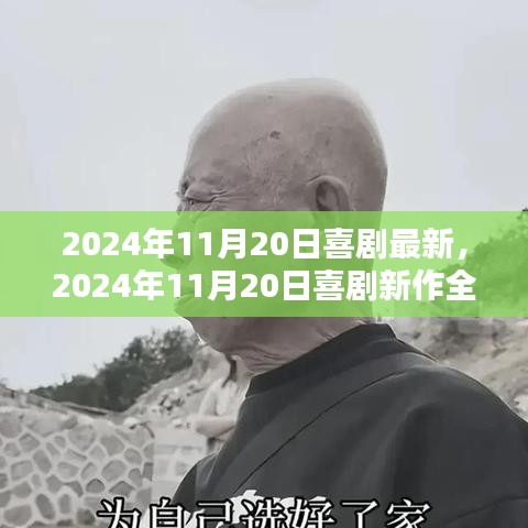 喜劇新作測評，歡笑與感動的完美結(jié)合（2024年11月20日最新）