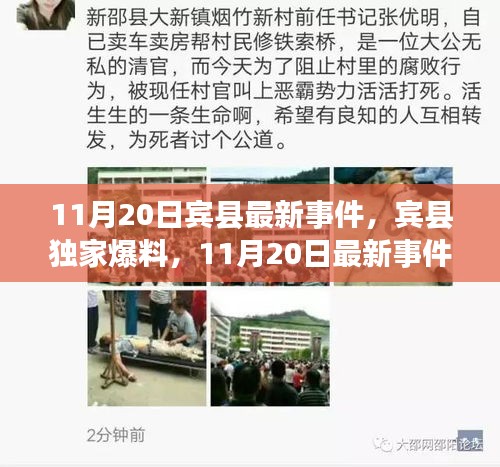 賓縣獨(dú)家爆料，11月20日最新事件全解析，小紅書直擊現(xiàn)場！