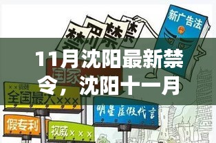 沈陽(yáng)11月新禁令出臺(tái)，法規(guī)更新與溫馨瞬間