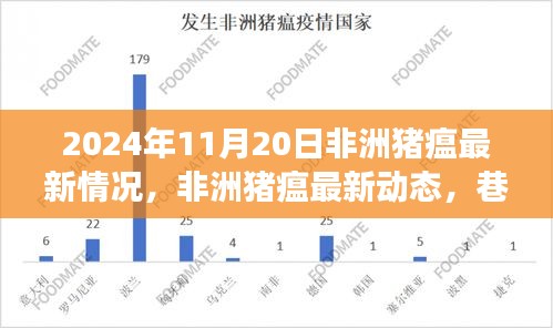 非洲豬瘟最新動態(tài)及巷弄深處的特色小店探索之旅（2024年11月20日）
