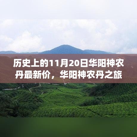 華陽神農(nóng)丹之旅，探尋歷史價格與自然美景，尋找內(nèi)心的寧靜與和諧