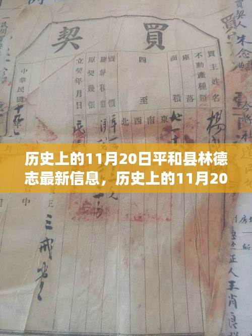 歷史上的11月20日，平和縣林德志最新信息概覽
