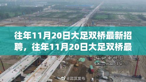 往年11月20日大足雙橋最新招聘市場深度解析與測評報告