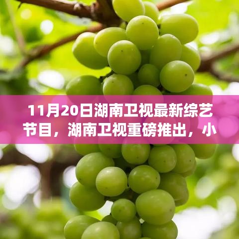 湖南衛(wèi)視巷弄美食探秘夜，小巷深處的綜藝寶藏新節(jié)目上線