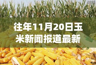 探秘巷弄深處的驚喜小店，往年玉米新聞回顧與隱藏式特色小店的玉米香之旅