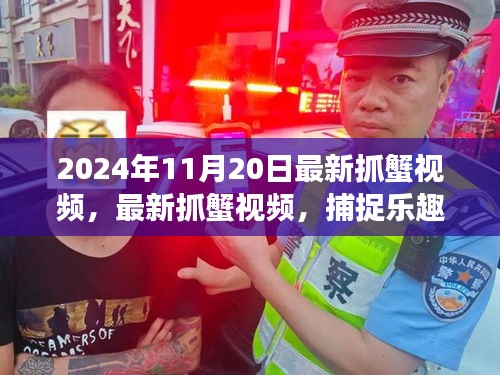 最新抓蟹視頻，捕捉樂趣與生態(tài)平衡交織的探討